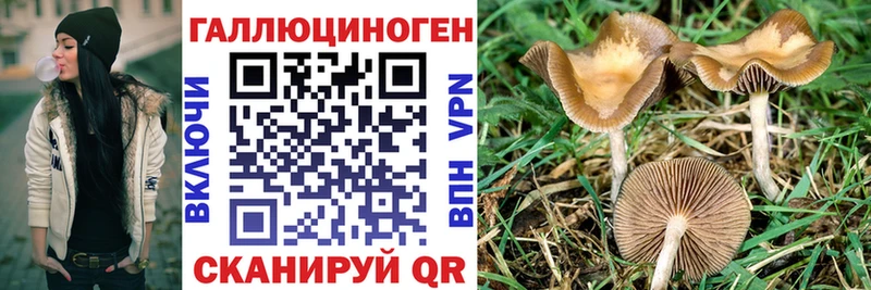 Псилоцибиновые грибы GOLDEN TEACHER  где купить наркоту  Арзамас 
